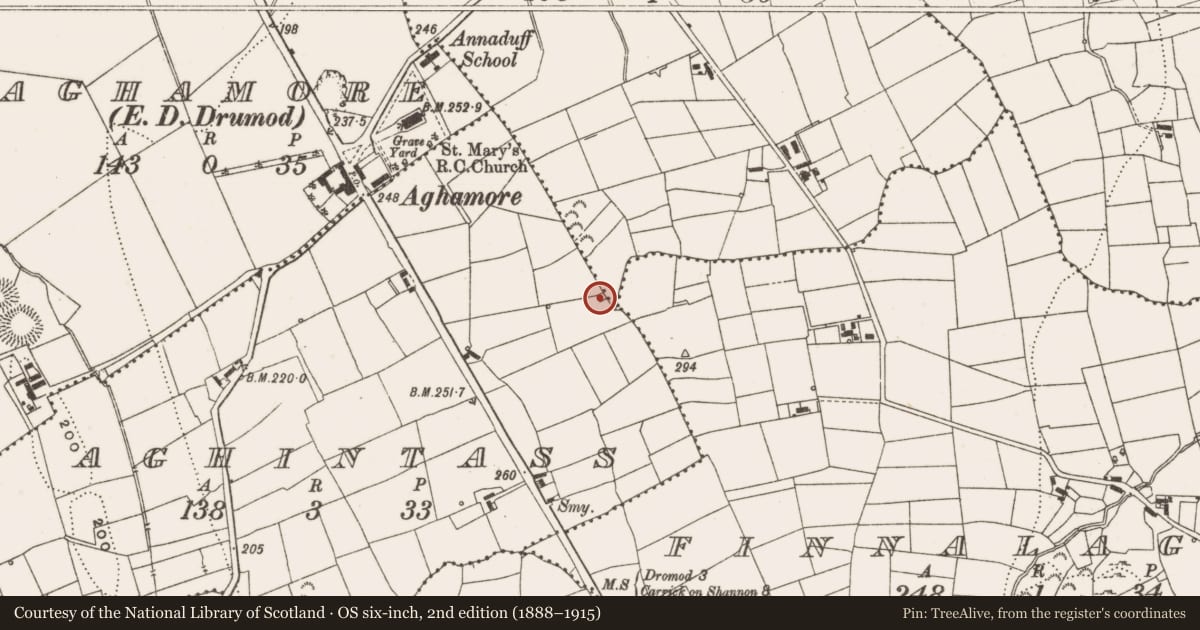 Ordnance Survey six-inch map, 2nd edition (1888–1915) covering the location of Enclosure, Aghintass, Antfield, County Leitrim, with a pin at the register's coordinates
