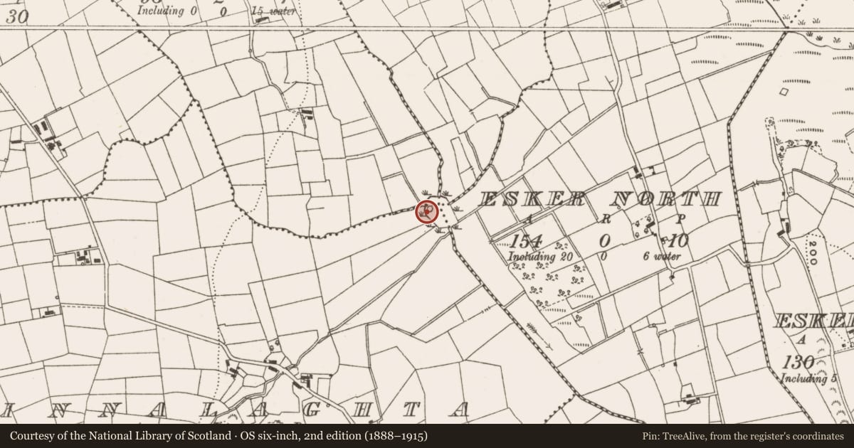 Ordnance Survey six-inch map, 2nd edition (1888–1915) covering the location of Crannog, Finnalaghta, County Leitrim, with a pin at the register's coordinates