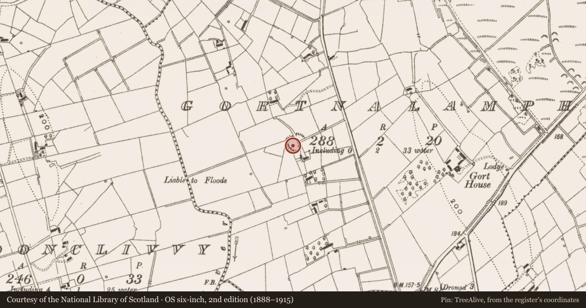 Ordnance Survey six-inch map, 2nd edition (1888–1915) covering the location of Ringfort - rath, Gortnalamph, County Leitrim, with a pin at the register's coordinates