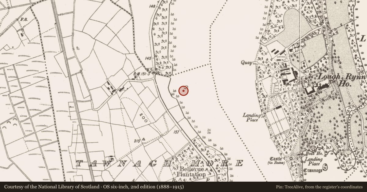 Ordnance Survey six-inch map, 2nd edition (1888–1915) covering the location of Crannog, Tawnagh More, County Leitrim, with a pin at the register's coordinates