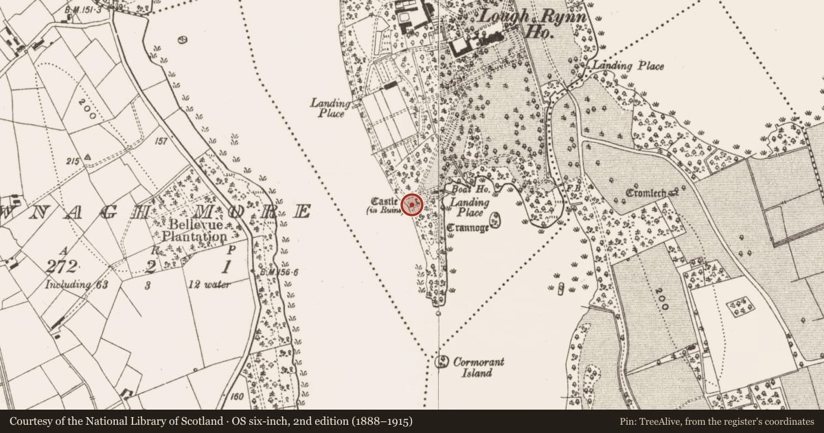 Ordnance Survey six-inch map, 2nd edition (1888–1915) covering the location of Castle - tower house, Rinn, County Leitrim, with a pin at the register's coordinates