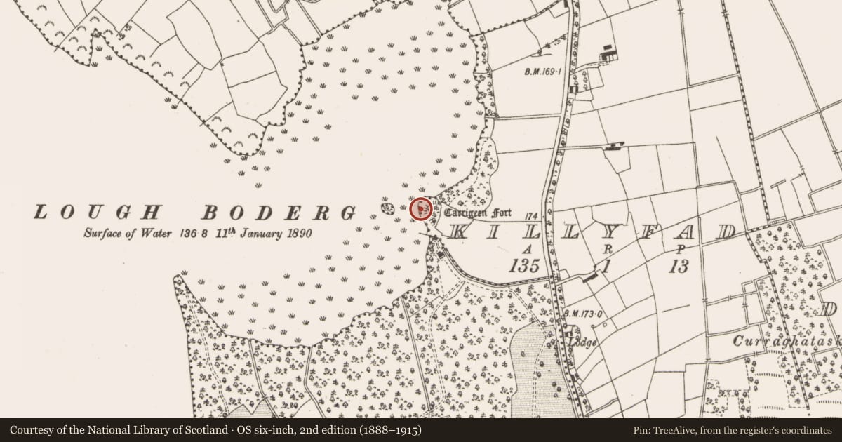 Ordnance Survey six-inch map, 2nd edition (1888–1915) covering the location of Earthwork, Killyfad, County Leitrim, with a pin at the register's coordinates