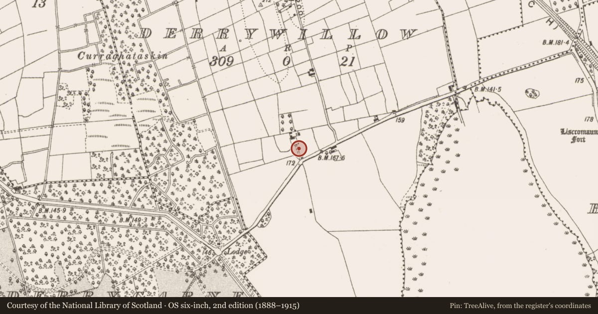 Ordnance Survey six-inch map, 2nd edition (1888–1915) covering the location of Ringfort - rath, Derrywillow, County Leitrim, with a pin at the register's coordinates