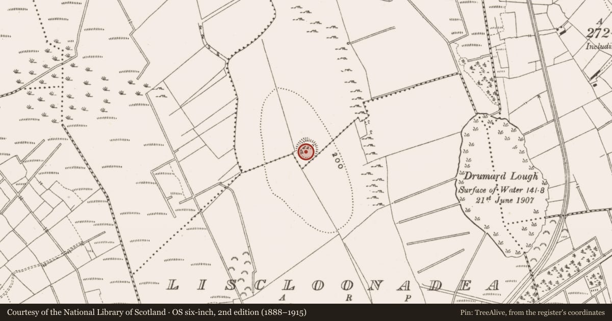 Ordnance Survey six-inch map, 2nd edition (1888–1915) covering the location of Ringfort - rath, Drumard (Jones), County Leitrim, with a pin at the register's coordinates