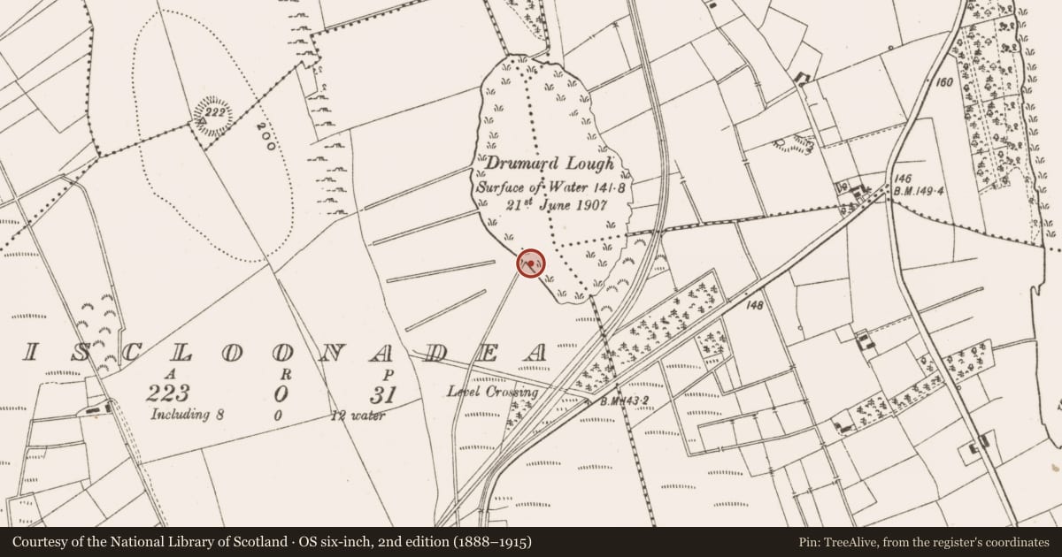 Ordnance Survey six-inch map, 2nd edition (1888–1915) covering the location of Crannog, Liscloonadea, County Leitrim, with a pin at the register's coordinates