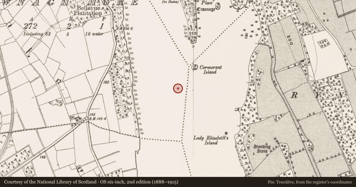 Ordnance Survey six-inch map, 2nd edition (1888–1915) covering the location of Crannog, Tawnagh More, County Leitrim, with a pin at the register's coordinates