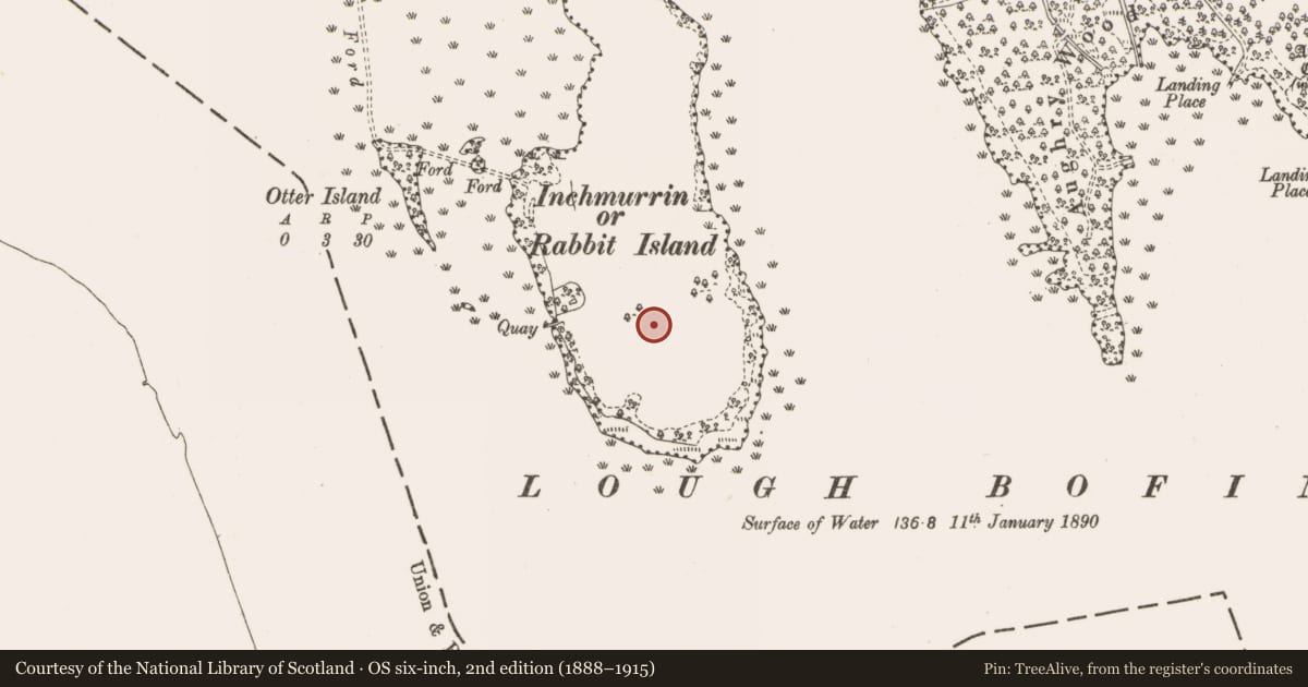 Ordnance Survey six-inch map, 2nd edition (1888–1915) covering the location of Cairn - clearance cairn, Derrycarne Demesne, County Leitrim, with a pin at the register's coordinates