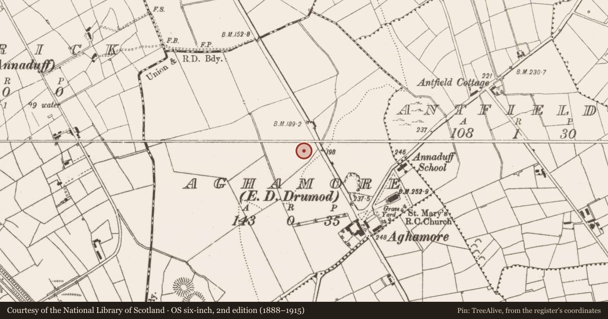 Ordnance Survey six-inch map, 2nd edition (1888–1915) covering the location of Ringfort - rath, Aghamore, County Leitrim, with a pin at the register's coordinates