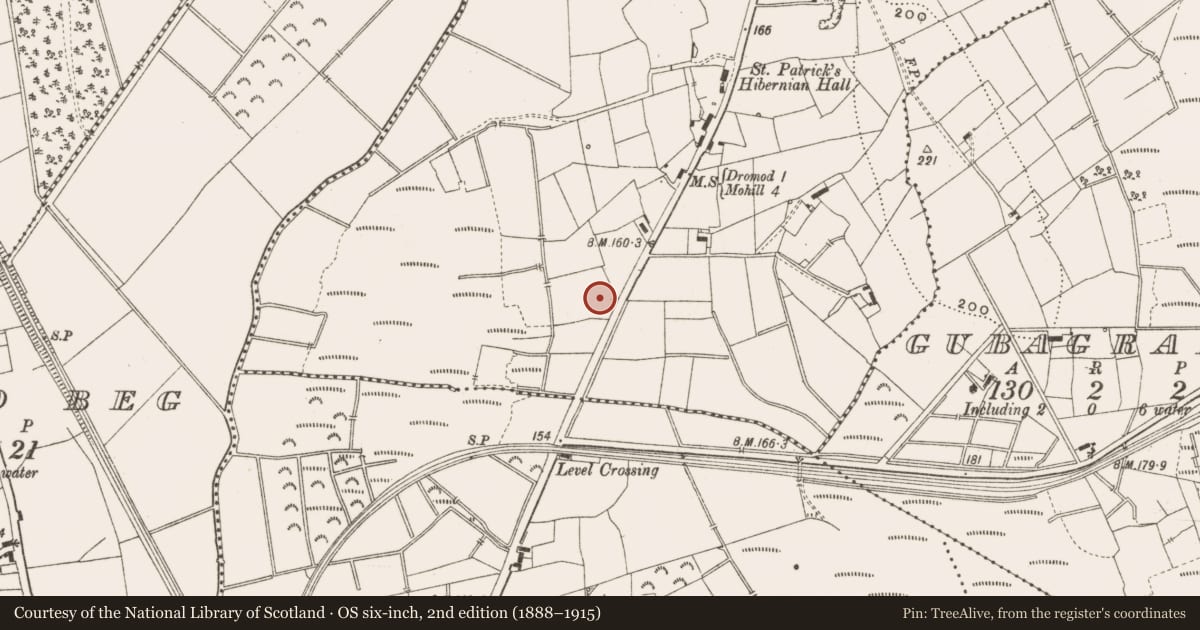 Ordnance Survey six-inch map, 2nd edition (1888–1915) covering the location of Burnt mound, Cloonturk, County Leitrim, with a pin at the register's coordinates