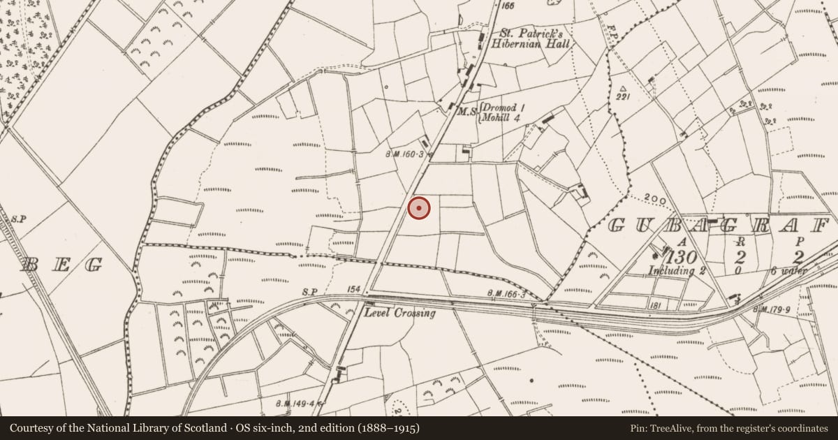 Ordnance Survey six-inch map, 2nd edition (1888–1915) covering the location of Excavation - miscellaneous, Cloonturk, County Leitrim, with a pin at the register's coordinates