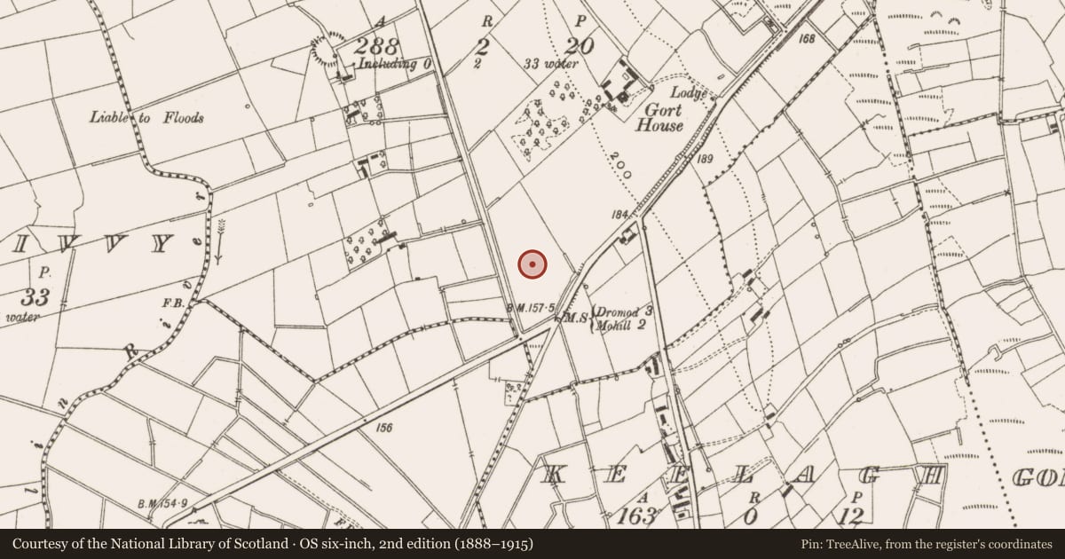 Ordnance Survey six-inch map, 2nd edition (1888–1915) covering the location of Concentric enclosure, Gortnalamph, County Leitrim, with a pin at the register's coordinates