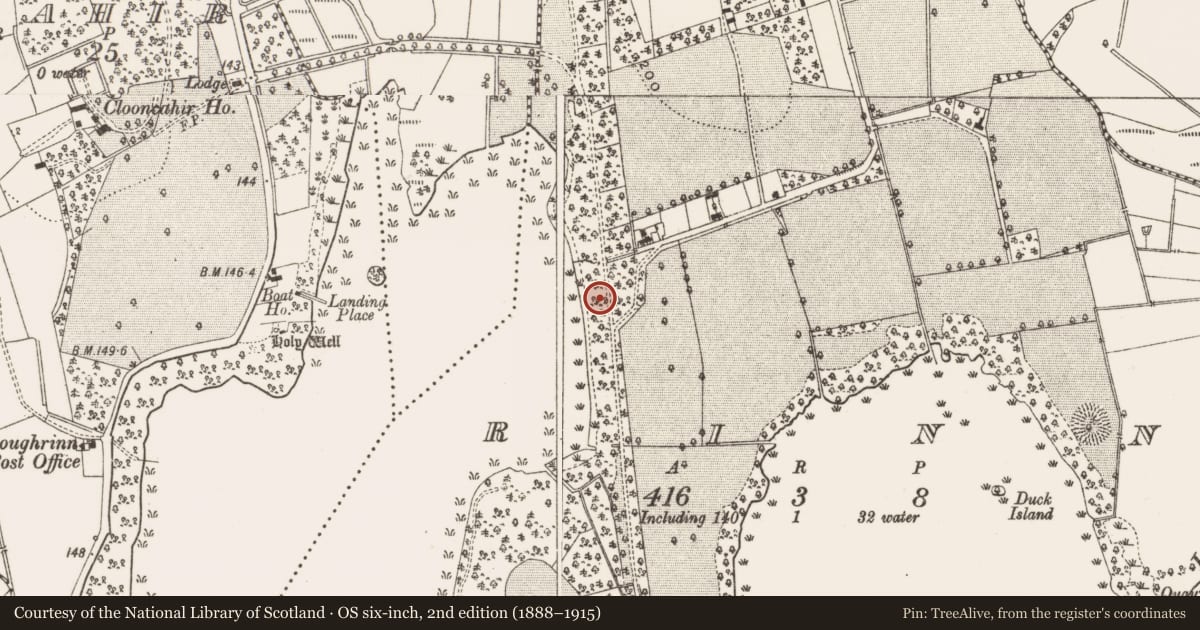 Ordnance Survey six-inch map, 2nd edition (1888–1915) covering the location of Megalithic structure, Rinn, County Leitrim, with a pin at the register's coordinates