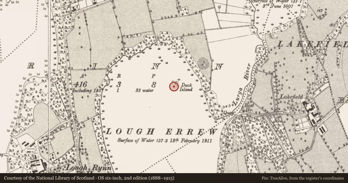 Ordnance Survey six-inch map, 2nd edition (1888–1915) covering the location of Crannog, Rinn, County Leitrim, with a pin at the register's coordinates