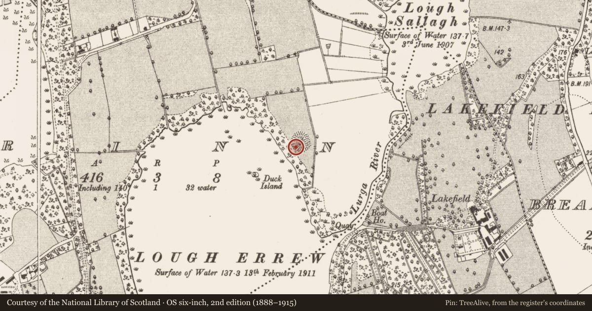 Ordnance Survey six-inch map, 2nd edition (1888–1915) covering the location of Ringfort - rath, Rinn, County Leitrim, with a pin at the register's coordinates