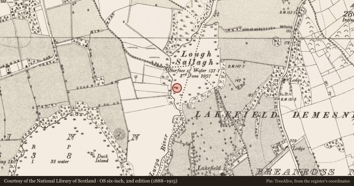 Ordnance Survey six-inch map, 2nd edition (1888–1915) covering the location of Crannog, Rinn, County Leitrim, with a pin at the register's coordinates
