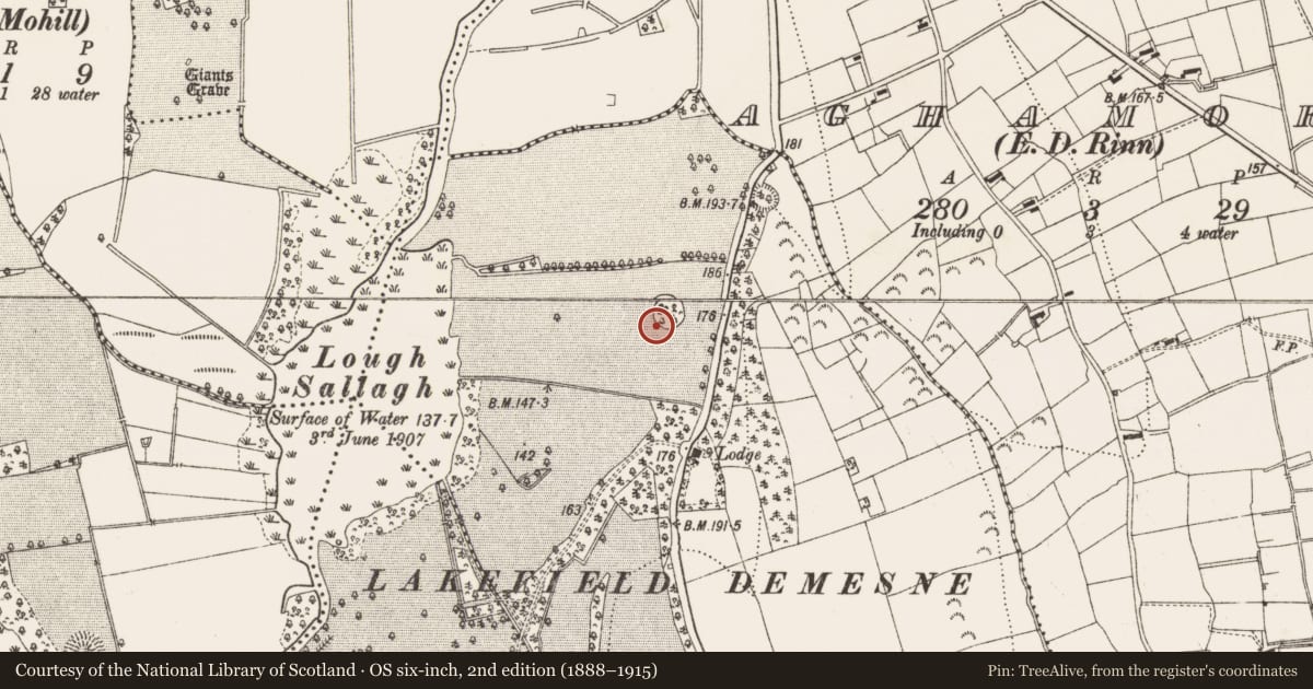 Ordnance Survey six-inch map, 2nd edition (1888–1915) covering the location of Ringfort - rath, Breanross North, County Leitrim, with a pin at the register's coordinates