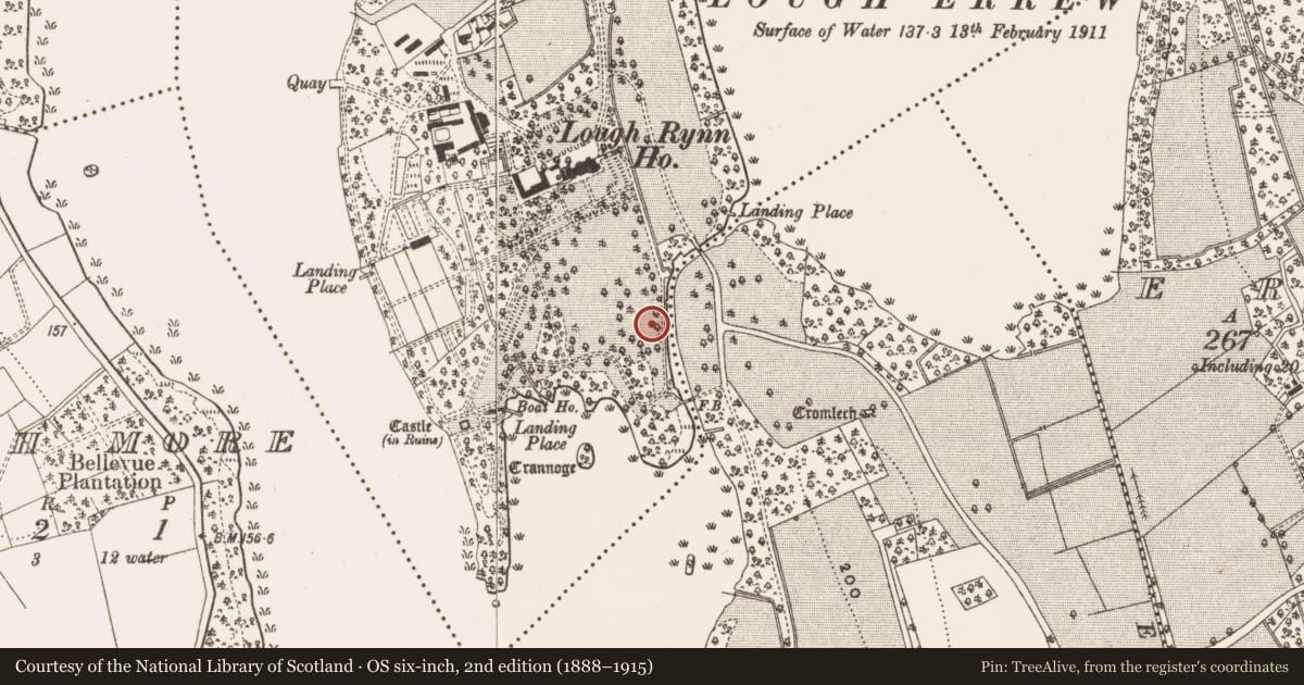 Ordnance Survey six-inch map, 2nd edition (1888–1915) covering the location of Kiln - lime, Clooncoe, Rinn, County Leitrim, with a pin at the register's coordinates