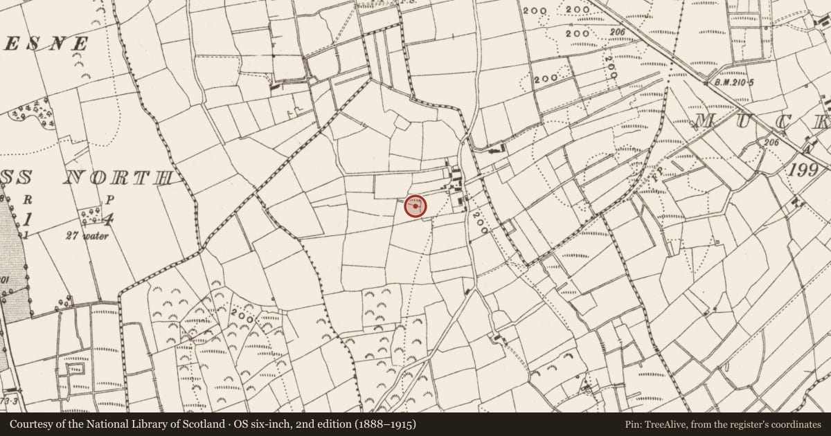 Ordnance Survey six-inch map, 2nd edition (1888–1915) covering the location of Megalithic tomb - portal tomb, Lear, County Leitrim, with a pin at the register's coordinates