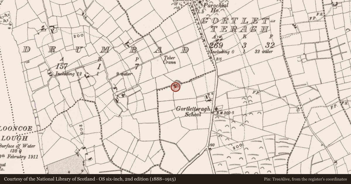 Ordnance Survey six-inch map, 2nd edition (1888–1915) covering the location of Ringfort - rath, Drumbad, Gortletteragh, County Leitrim, with a pin at the register's coordinates