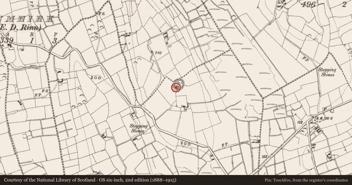 Ordnance Survey six-inch map, 2nd edition (1888–1915) covering the location of Ringfort - rath, Drumgrania, County Leitrim, with a pin at the register's coordinates