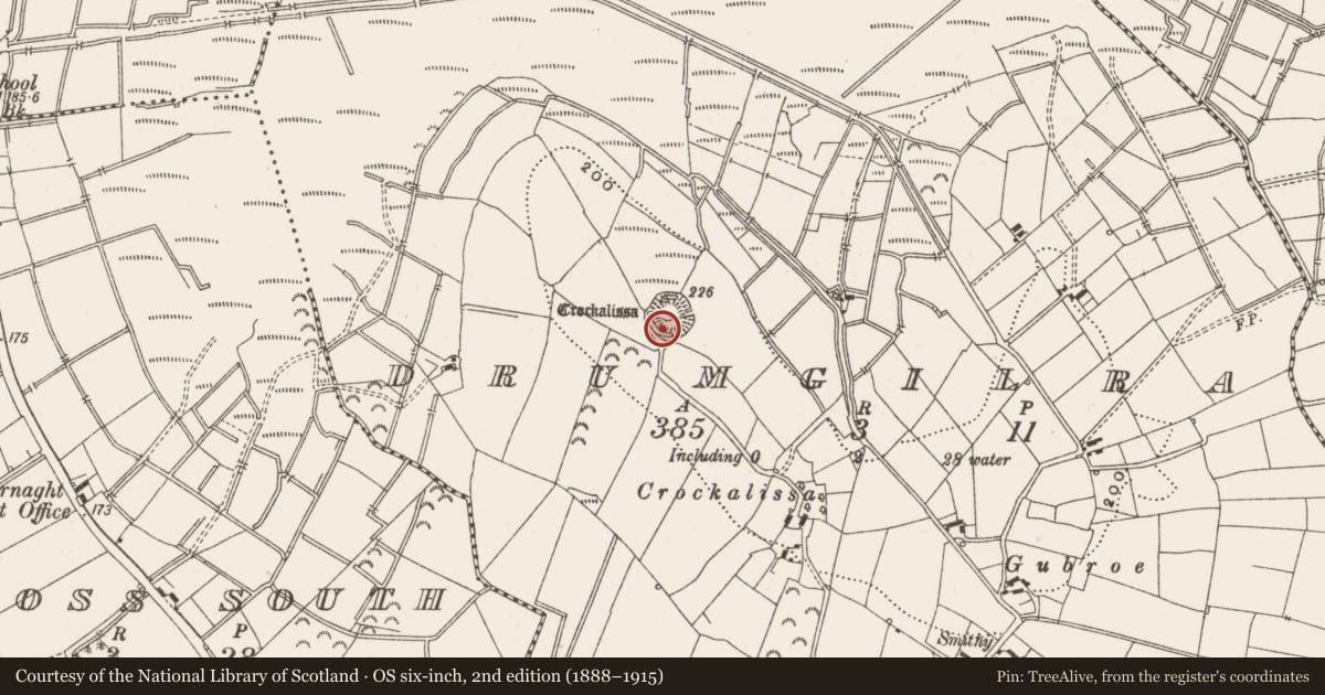 Ordnance Survey six-inch map, 2nd edition (1888–1915) covering the location of Ringfort - rath, Drumgilra, County Leitrim, with a pin at the register's coordinates