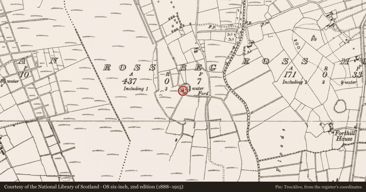 Ordnance Survey six-inch map, 2nd edition (1888–1915) covering the location of Ringfort - rath, Ross Beg, County Leitrim, with a pin at the register's coordinates