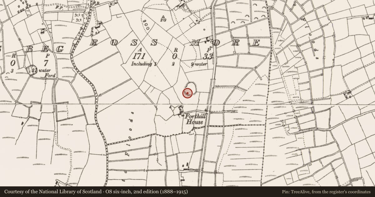 Ordnance Survey six-inch map, 2nd edition (1888–1915) covering the location of Ringfort - rath, Ross More, County Leitrim, with a pin at the register's coordinates