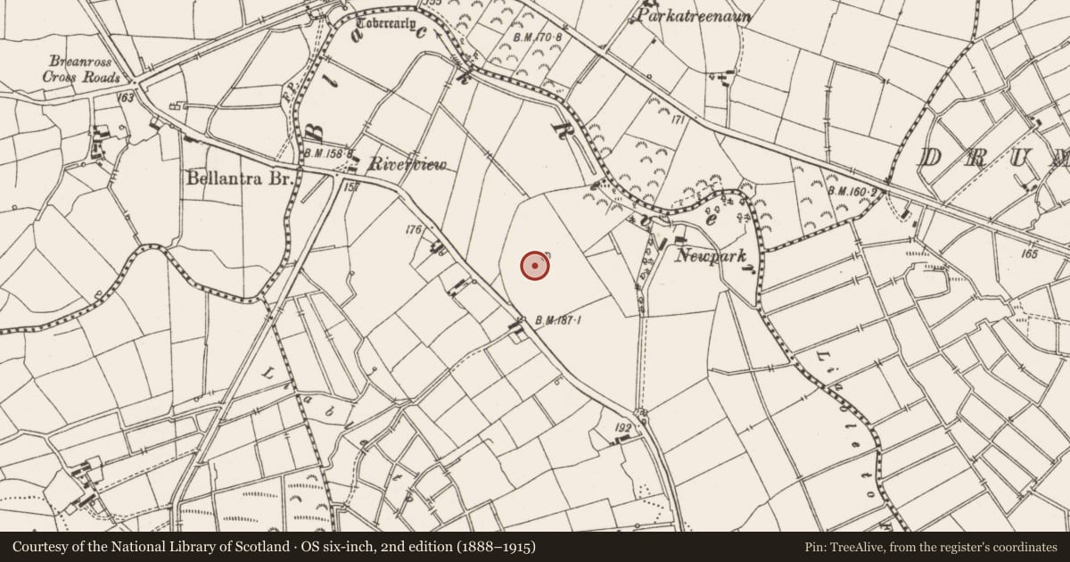 Ordnance Survey six-inch map, 2nd edition (1888–1915) covering the location of Enclosure, Beihy, County Leitrim, with a pin at the register's coordinates