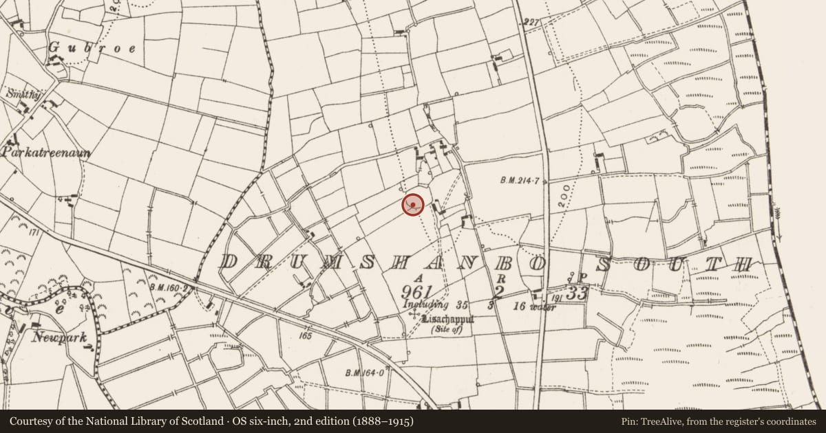 Ordnance Survey six-inch map, 2nd edition (1888–1915) covering the location of Ringfort - rath, Drumshanbo South, County Leitrim, with a pin at the register's coordinates