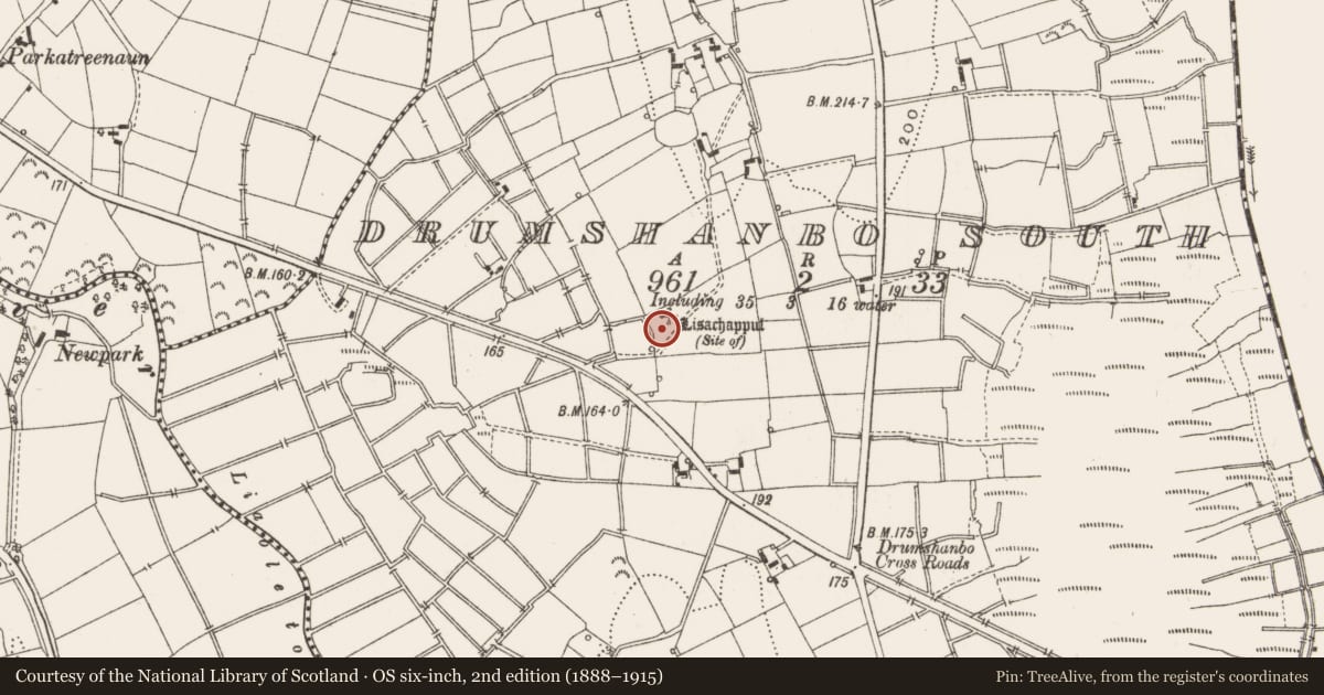 Ordnance Survey six-inch map, 2nd edition (1888–1915) covering the location of Ringfort - unclassified, Drumshanbo South, County Leitrim, with a pin at the register's coordinates