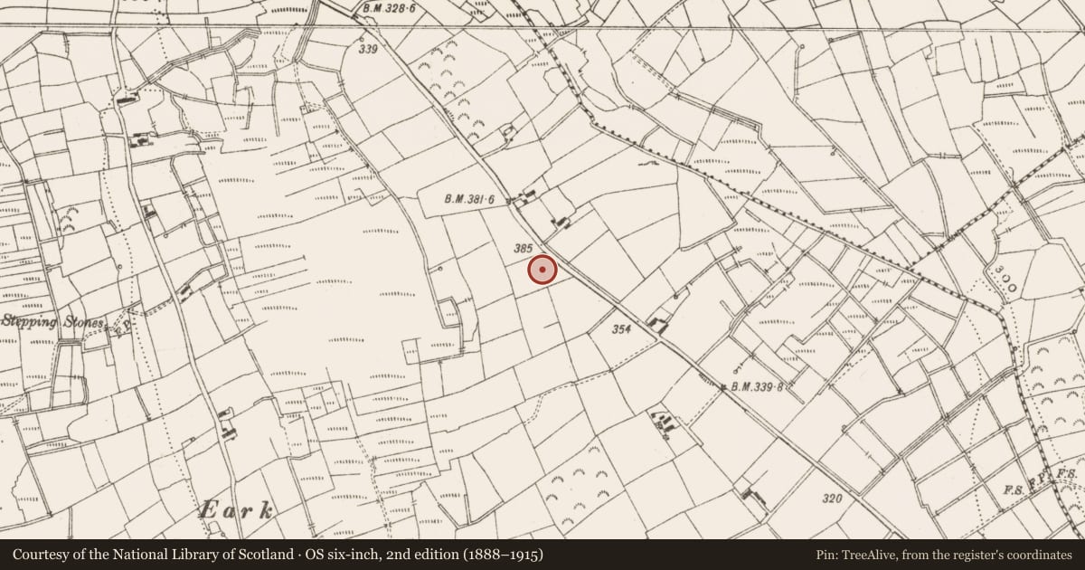 Ordnance Survey six-inch map, 2nd edition (1888–1915) covering the location of Cross - Wayside cross, Cattan, County Leitrim, with a pin at the register's coordinates