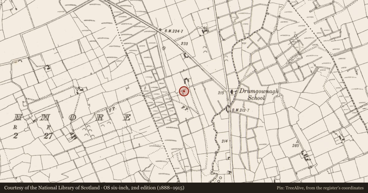Ordnance Survey six-inch map, 2nd edition (1888–1915) covering the location of Mound, Drumgownagh, County Leitrim, with a pin at the register's coordinates