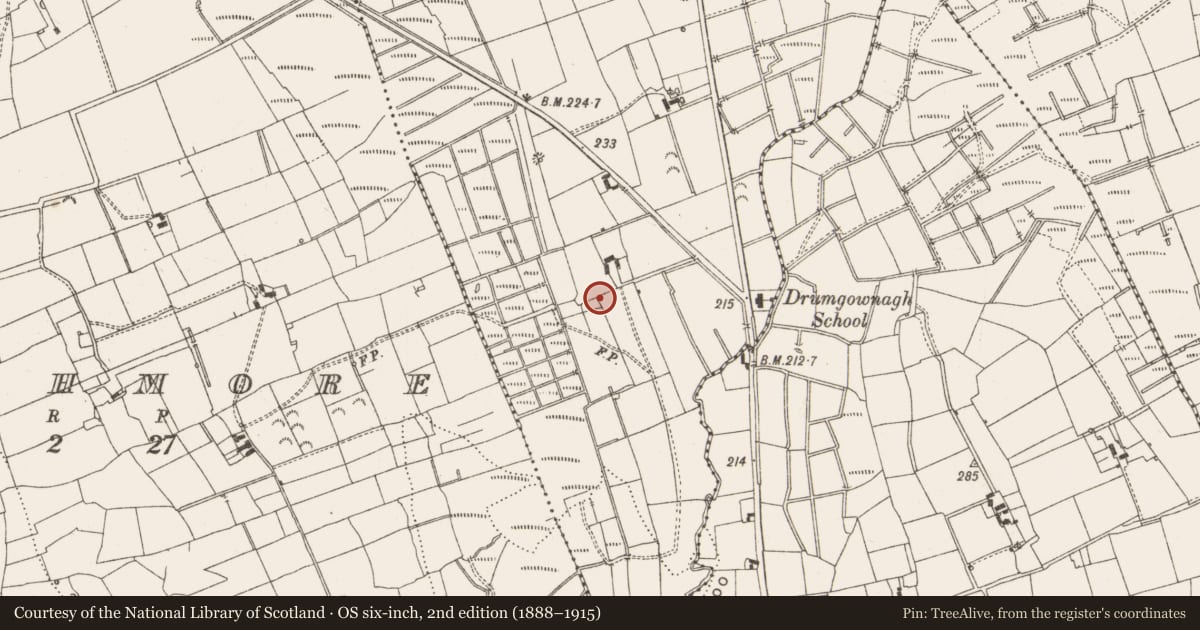 Ordnance Survey six-inch map, 2nd edition (1888–1915) covering the location of Mass-rock, Drumgownagh, County Leitrim, with a pin at the register's coordinates