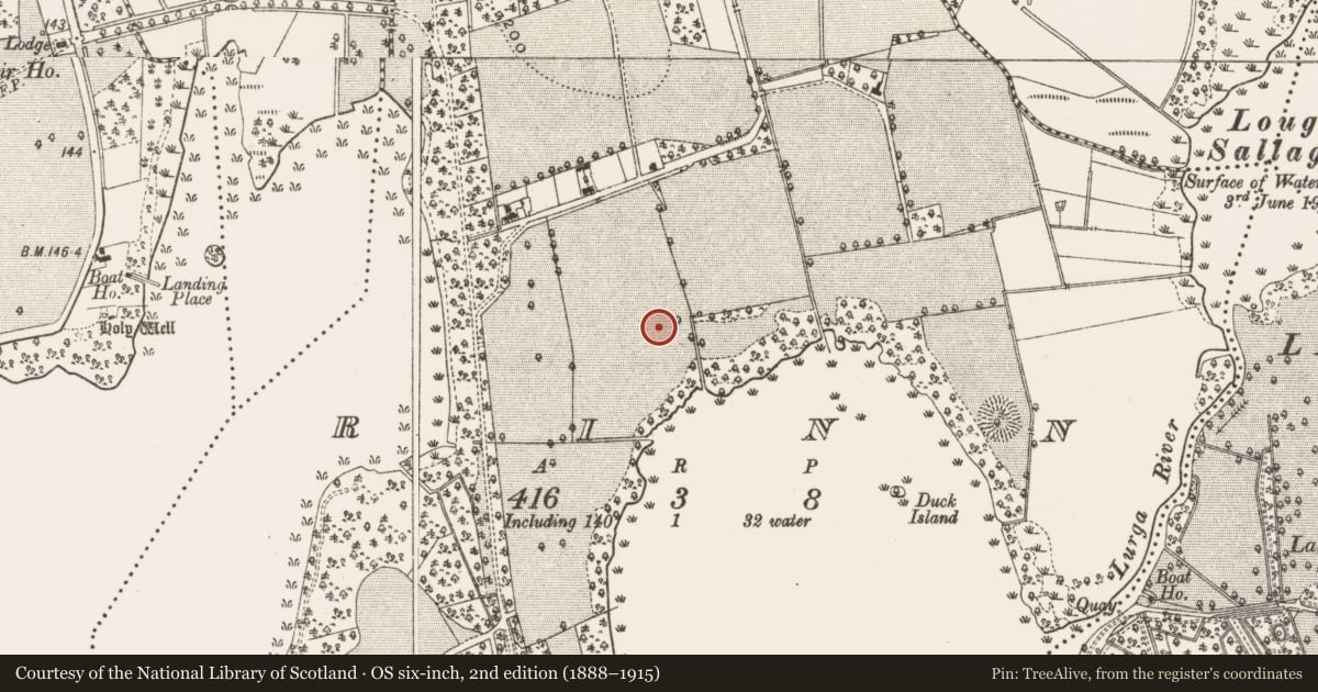Ordnance Survey six-inch map, 2nd edition (1888–1915) covering the location of Burnt mound, Rinn, County Leitrim, with a pin at the register's coordinates