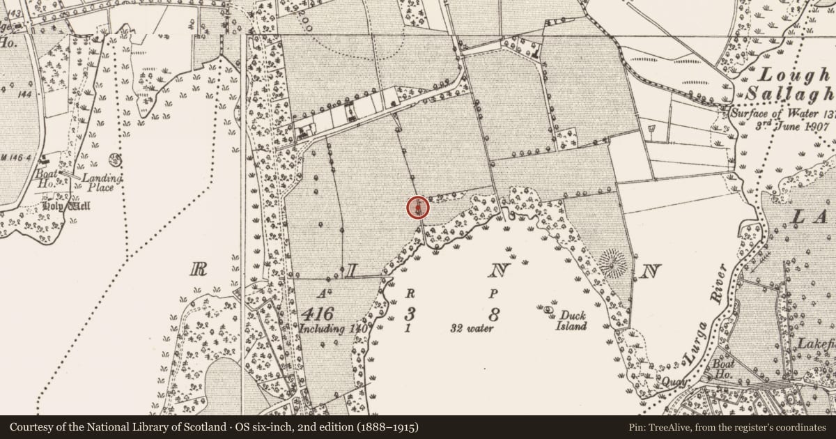 Ordnance Survey six-inch map, 2nd edition (1888–1915) covering the location of Burnt mound, Rinn, County Leitrim, with a pin at the register's coordinates