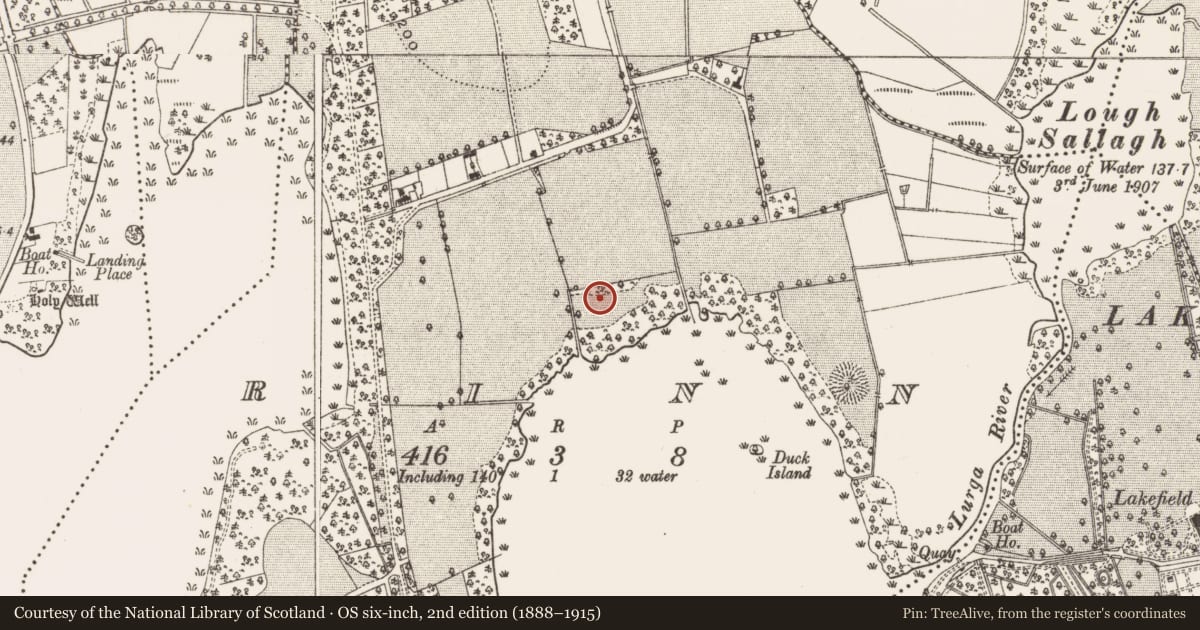 Ordnance Survey six-inch map, 2nd edition (1888–1915) covering the location of Burnt mound, Rinn, County Leitrim, with a pin at the register's coordinates