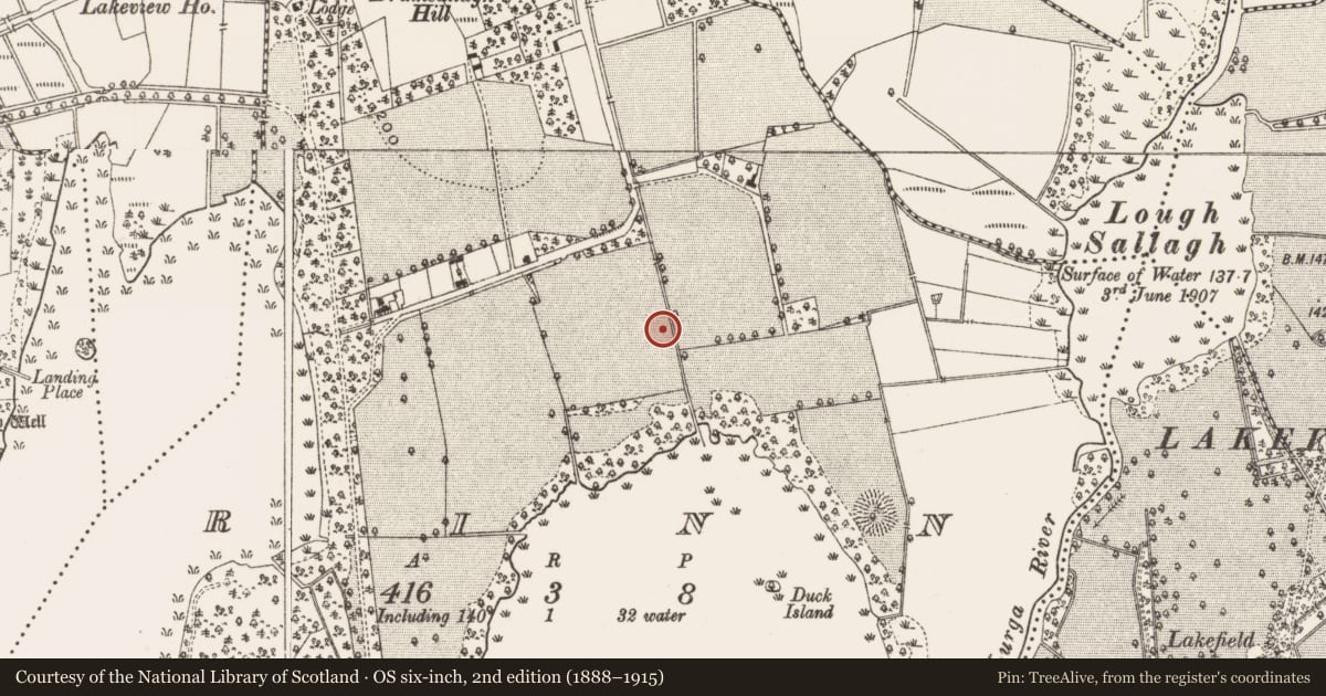 Ordnance Survey six-inch map, 2nd edition (1888–1915) covering the location of Pit circle, Rinn, County Leitrim, with a pin at the register's coordinates