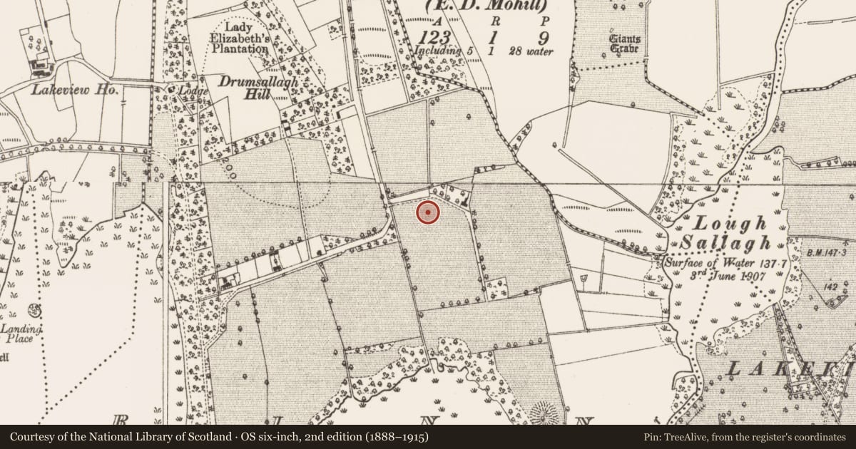 Ordnance Survey six-inch map, 2nd edition (1888–1915) covering the location of Burnt mound, Rinn, County Leitrim, with a pin at the register's coordinates
