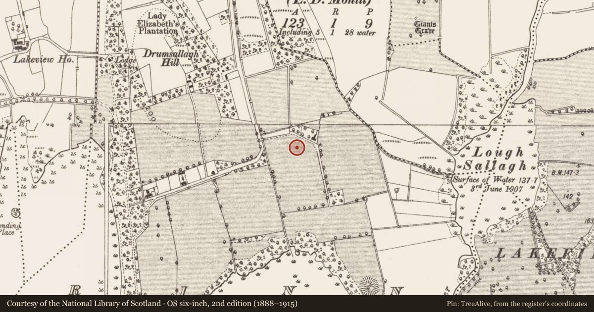 Ordnance Survey six-inch map, 2nd edition (1888–1915) covering the location of Burnt mound, Rinn, County Leitrim, with a pin at the register's coordinates