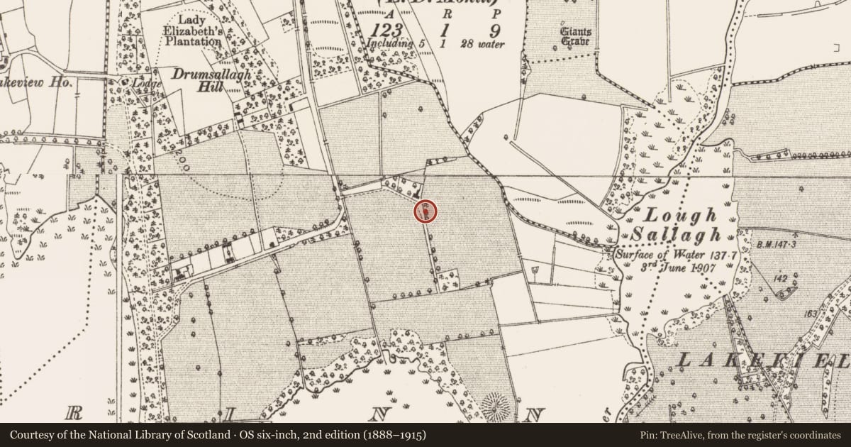 Ordnance Survey six-inch map, 2nd edition (1888–1915) covering the location of Hut site, Rinn, County Leitrim, with a pin at the register's coordinates