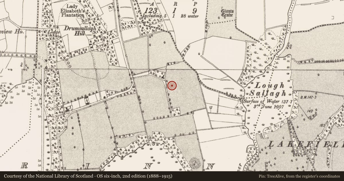 Ordnance Survey six-inch map, 2nd edition (1888–1915) covering the location of Hut site, Rinn, County Leitrim, with a pin at the register's coordinates