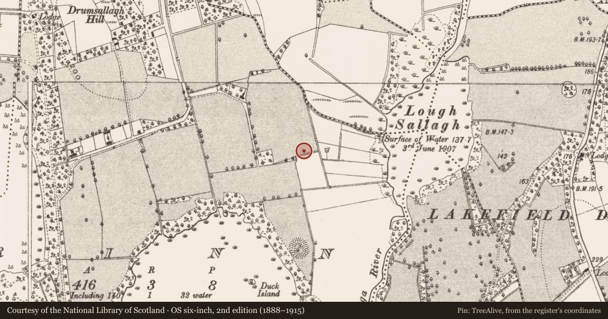 Ordnance Survey six-inch map, 2nd edition (1888–1915) covering the location of Burnt mound, Rinn, County Leitrim, with a pin at the register's coordinates