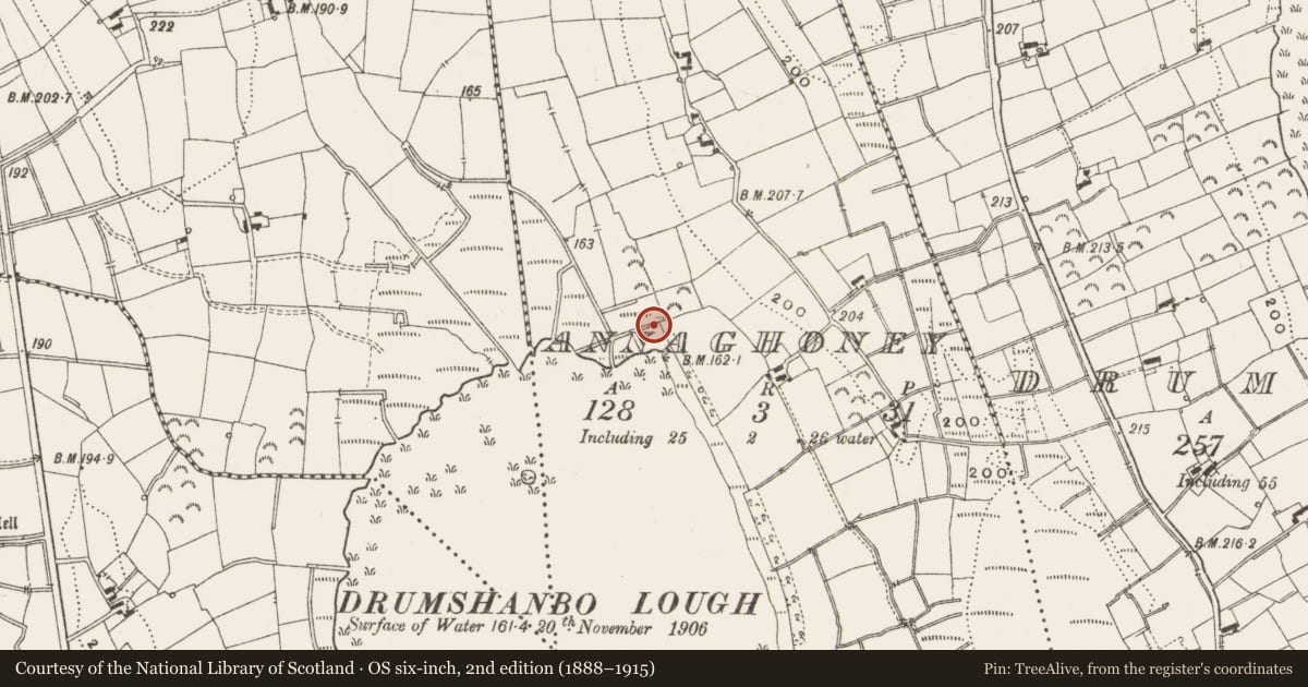 Ordnance Survey six-inch map, 2nd edition (1888–1915) covering the location of Sweathouse, Annaghoney, County Leitrim, with a pin at the register's coordinates
