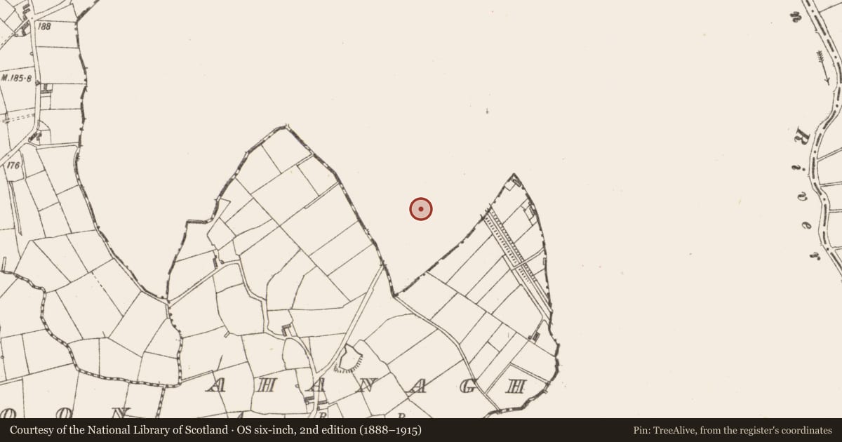 Ordnance Survey six-inch map, 2nd edition (1888–1915) covering the location of Church, Cloonmorris, County Leitrim, with a pin at the register's coordinates