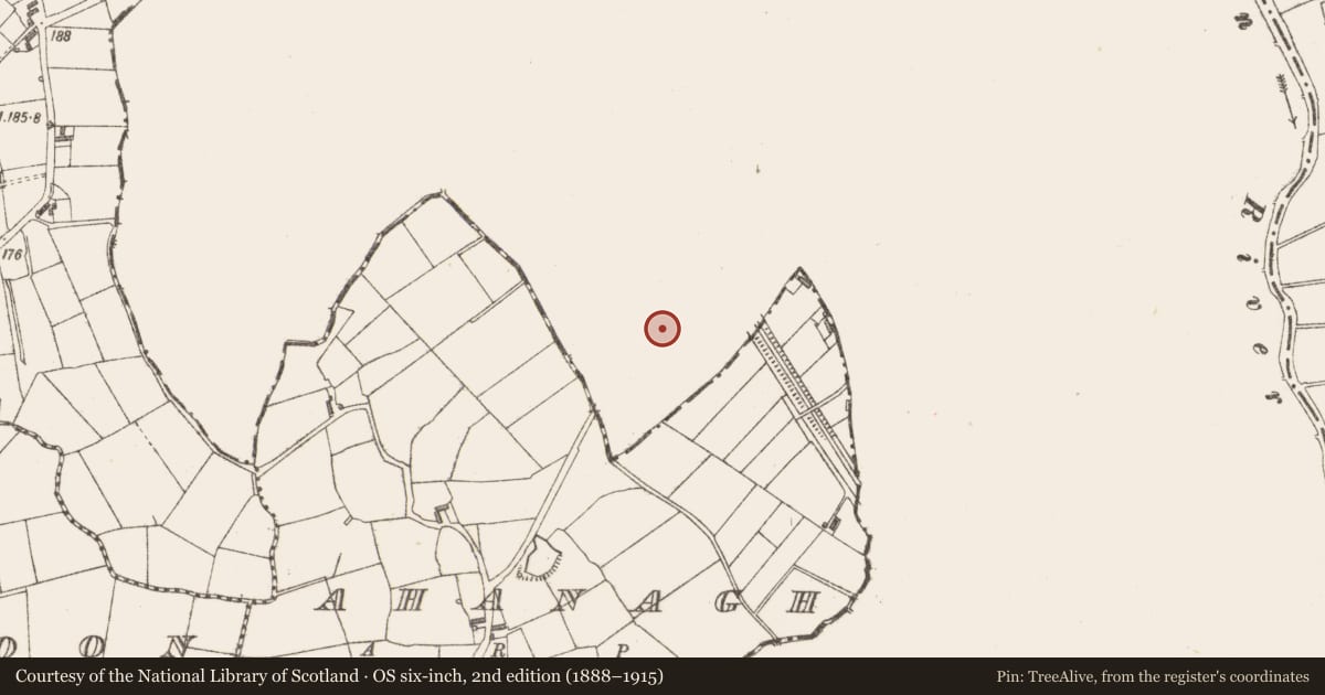Ordnance Survey six-inch map, 2nd edition (1888–1915) covering the location of Graveyard, Cloonmorris, County Leitrim, with a pin at the register's coordinates