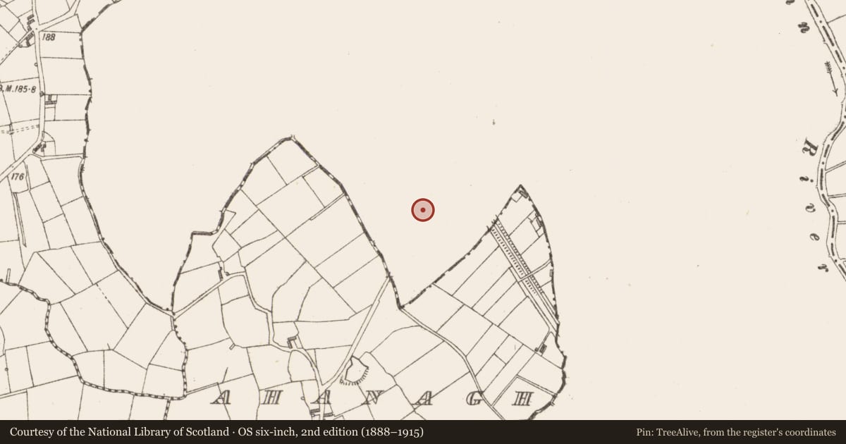 Ordnance Survey six-inch map, 2nd edition (1888–1915) covering the location of Ogham stone, Cloonmorris, County Leitrim, with a pin at the register's coordinates