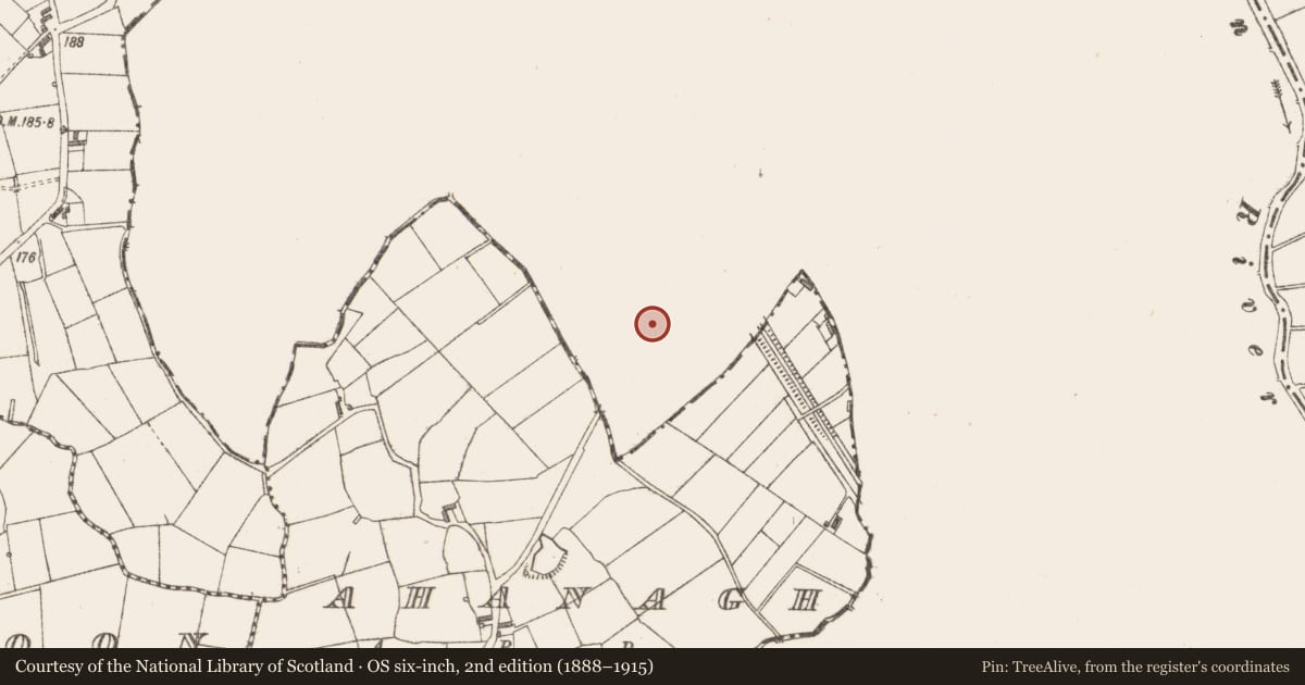 Ordnance Survey six-inch map, 2nd edition (1888–1915) covering the location of Bullaun stone, Cloonmorris, County Leitrim, with a pin at the register's coordinates