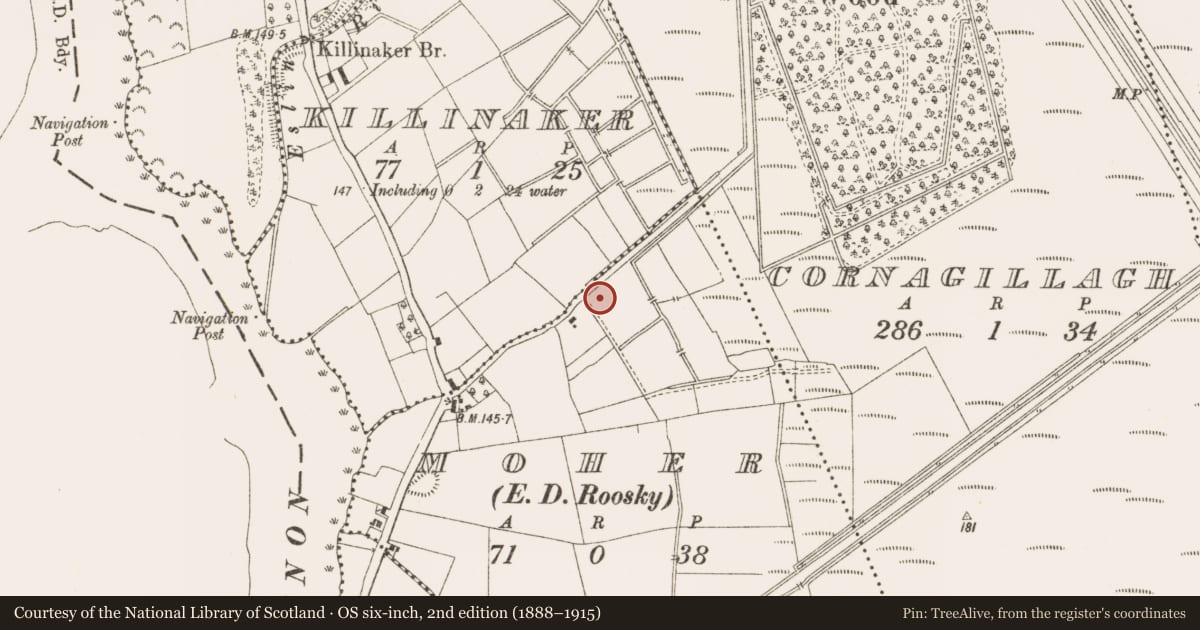 Ordnance Survey six-inch map, 2nd edition (1888–1915) covering the location of Fulacht fia, Moher, County Leitrim, with a pin at the register's coordinates