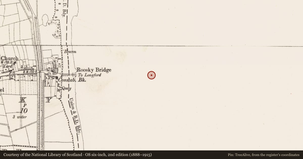 Ordnance Survey six-inch map, 2nd edition (1888–1915) covering the location of Fulacht fia, Georgia Or Gorteenoran, County Leitrim, with a pin at the register's coordinates