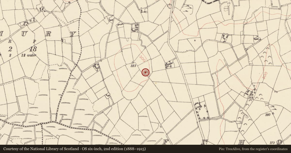 Ordnance Survey six-inch map, 2nd edition (1888–1915) covering the location of Ringfort - rath, Fihoragh, County Longford, with a pin at the register's coordinates